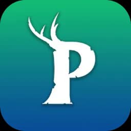 Palworld